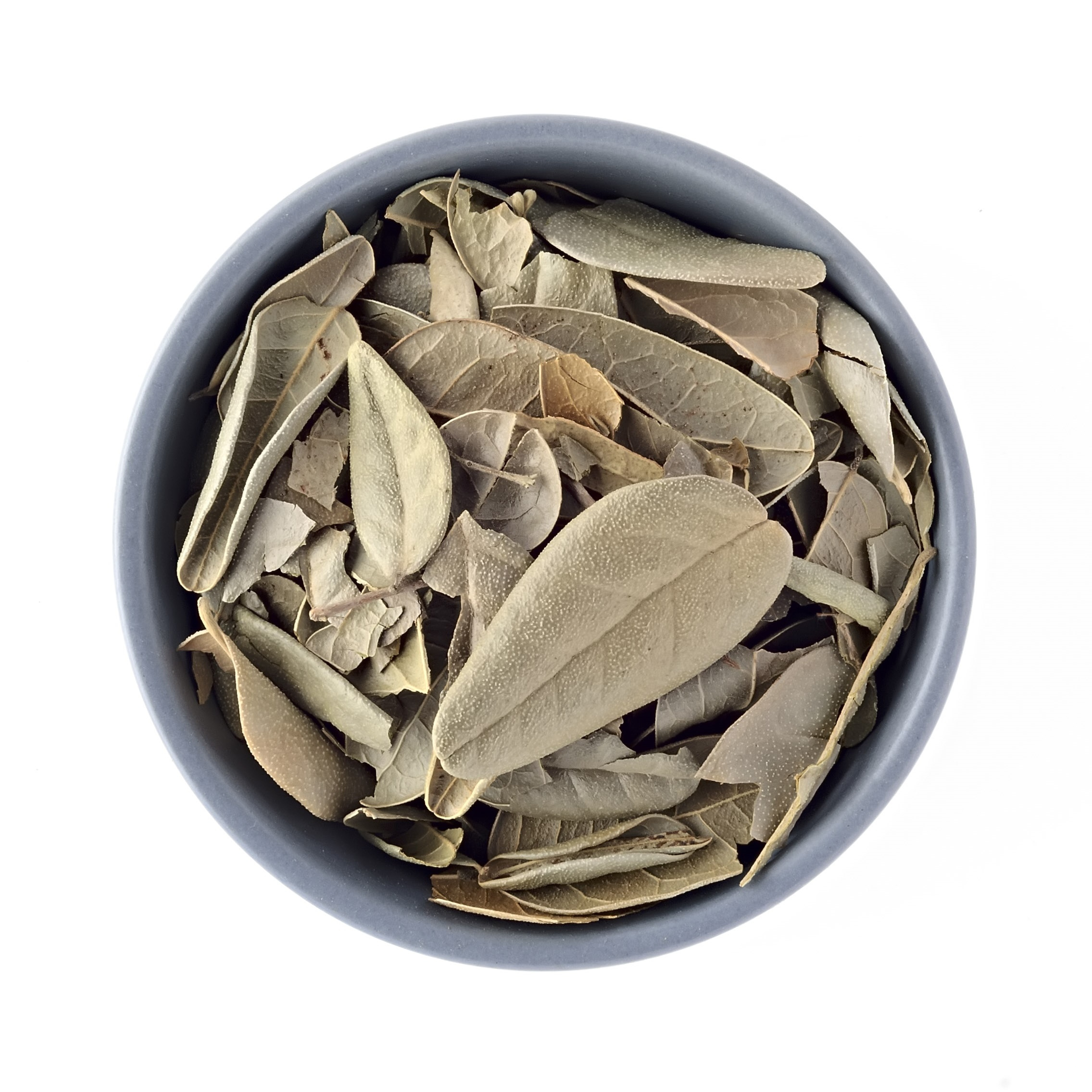 Chá de Boldo do Chile 100g - Banca do Ramon