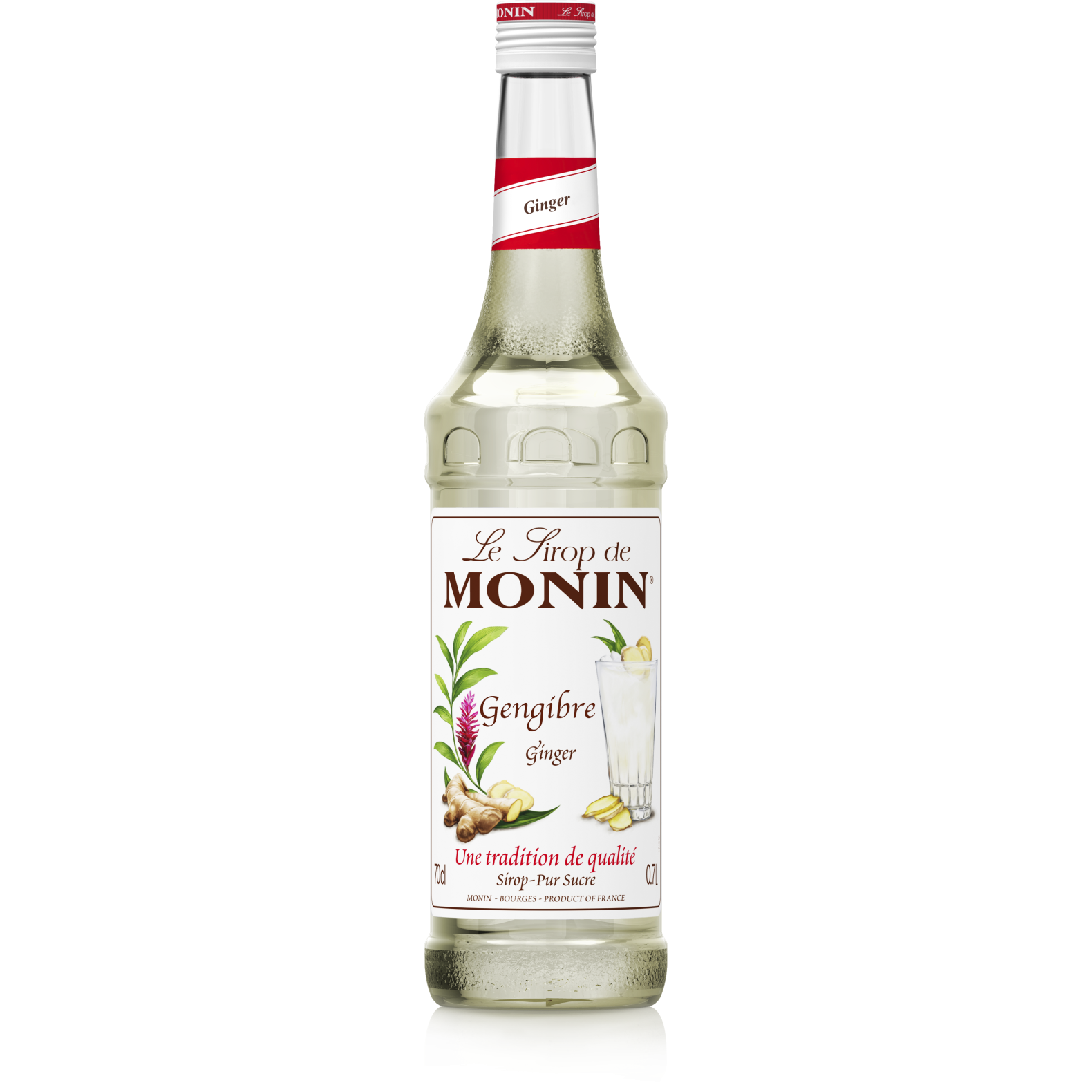 Xarope Monin de Gengibre (700ml) Banca do Ramon