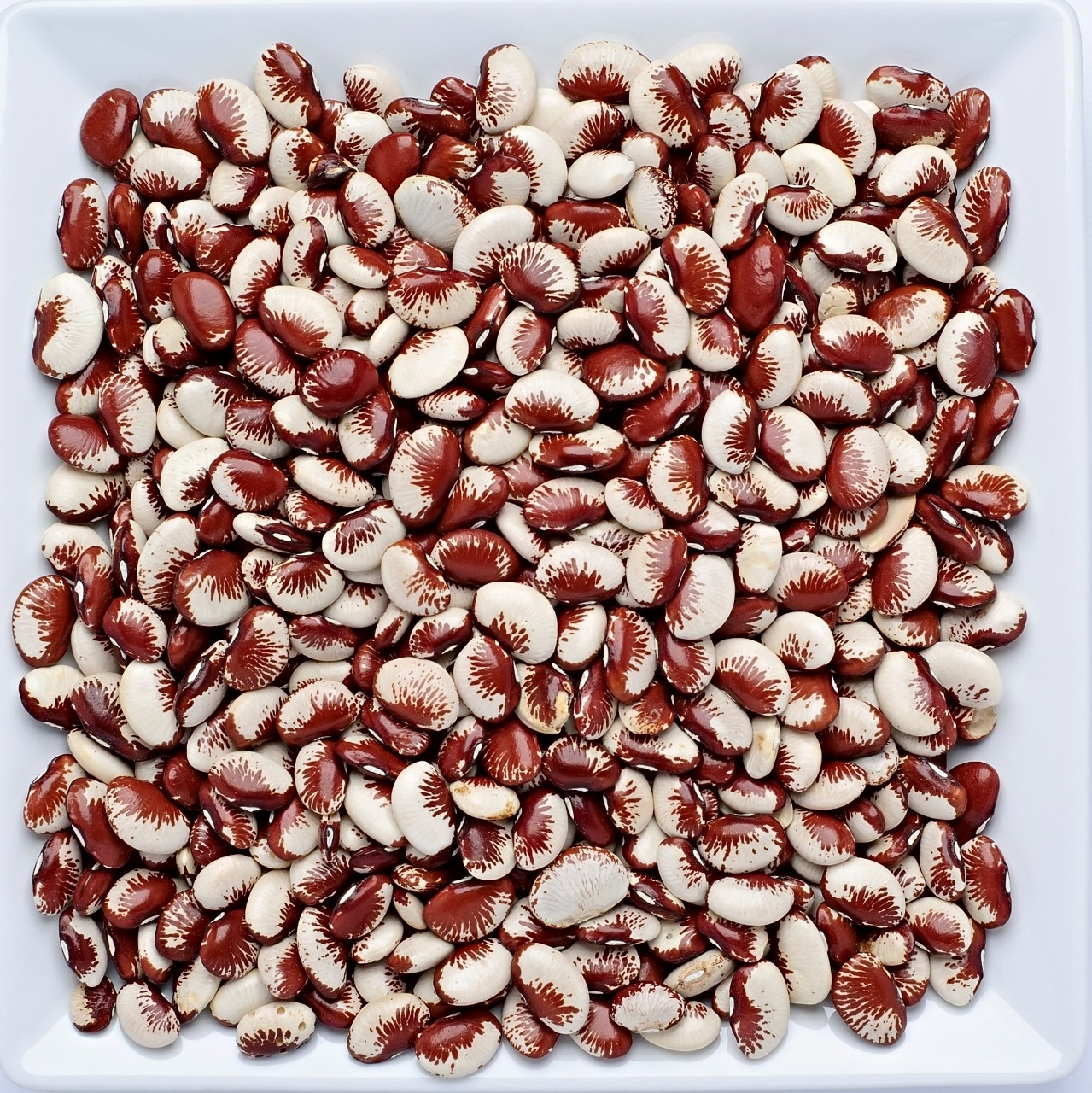 Fava Rajada Vermelha 100g - Banca do Ramon