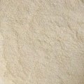 Farinha  de trigo italiana grano duro