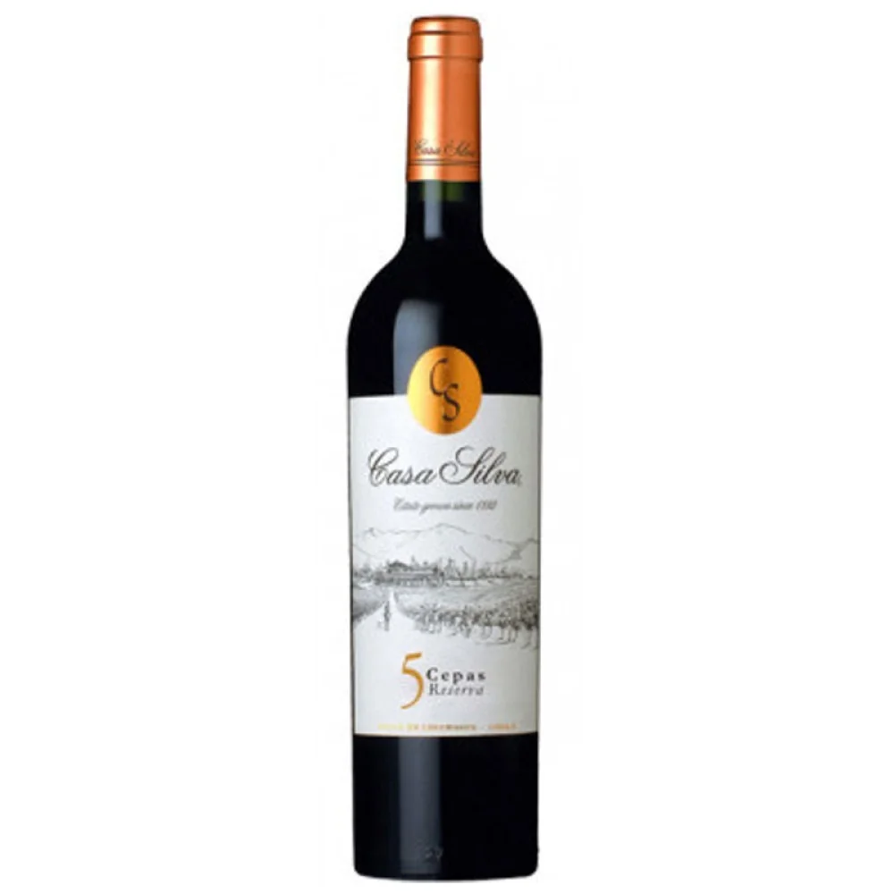 Vinho Casa Silva 5 Cepas 750ml