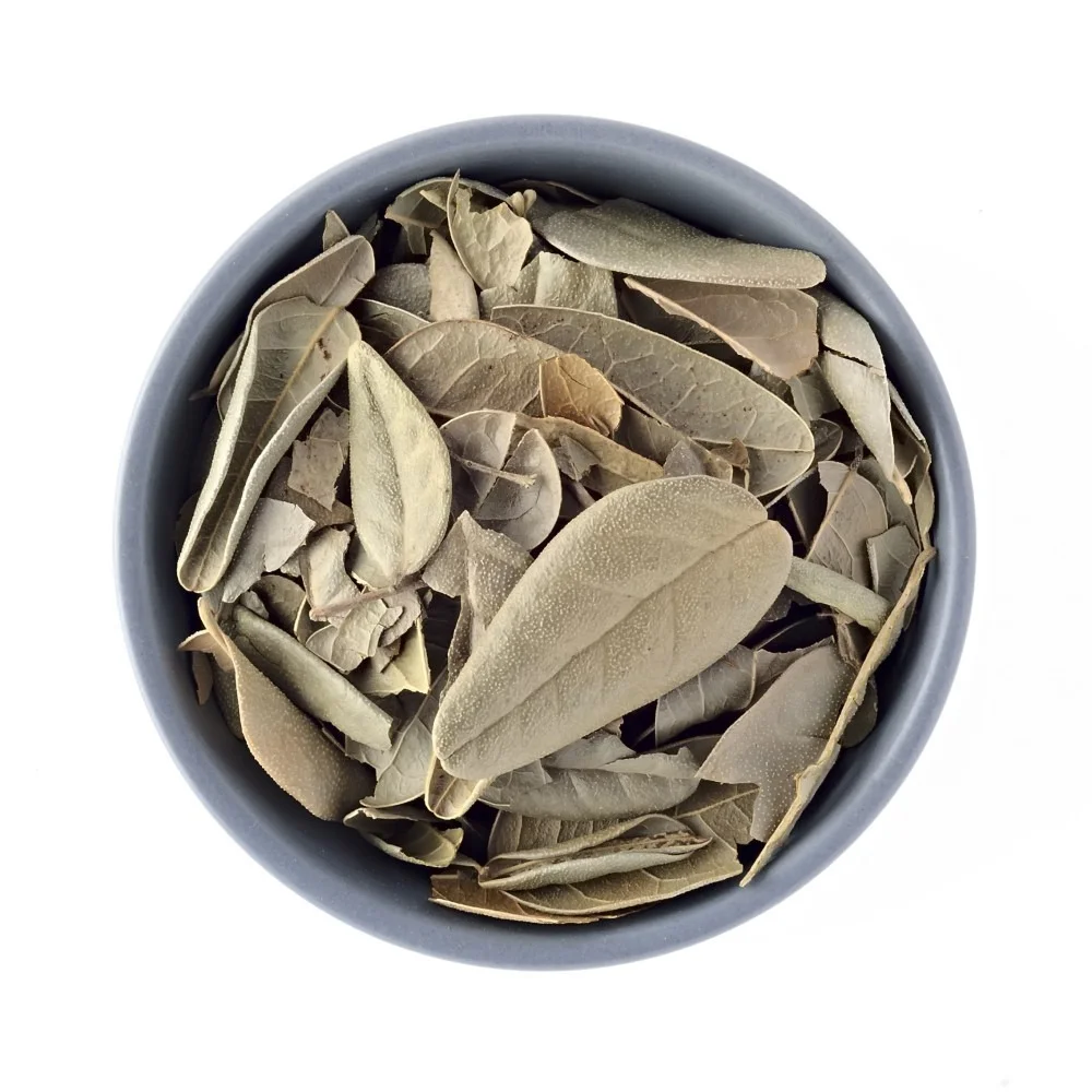 Chá de Boldo do Chile 100g