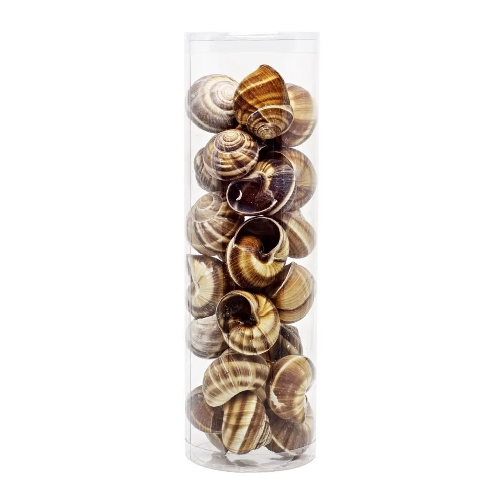 Kit com 24 Conchas de Escargot (un)