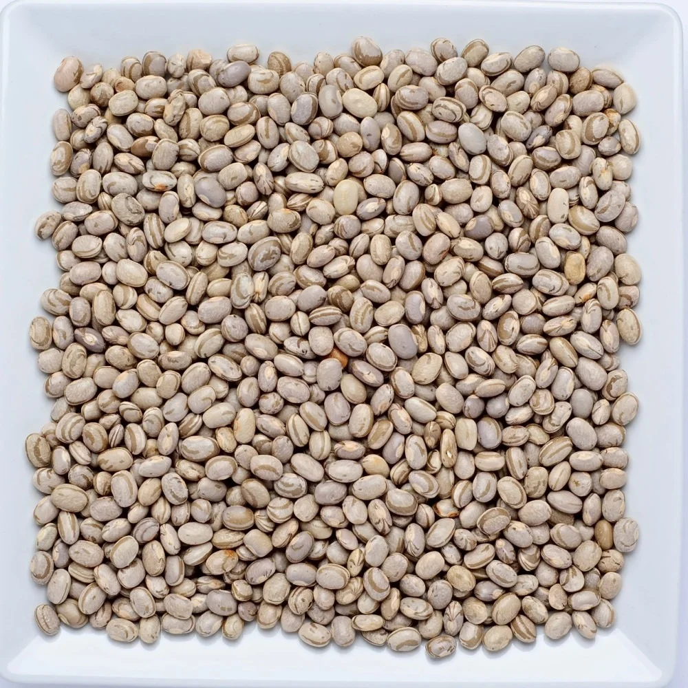 Feijão Carioca 500g