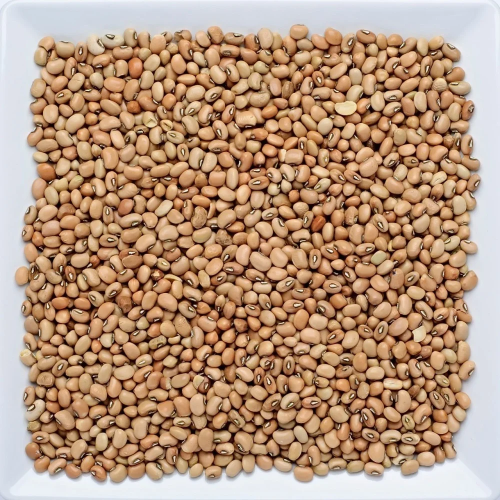 Feijão de Corda 500g