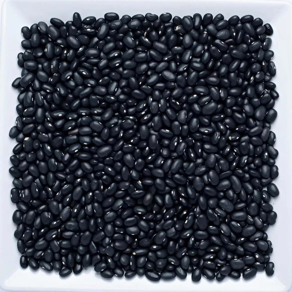 Feijão Preto 500g