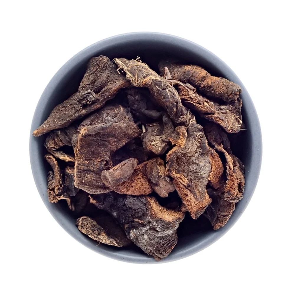 Funghi Chileno 100g