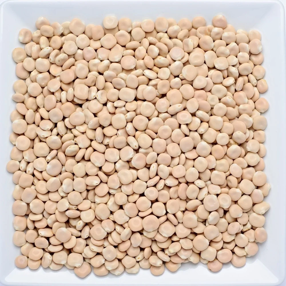 Tremoço Miúdo Seco 100g