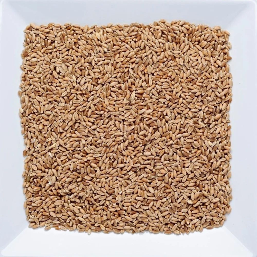 Trigo em Grão Nacional 500g