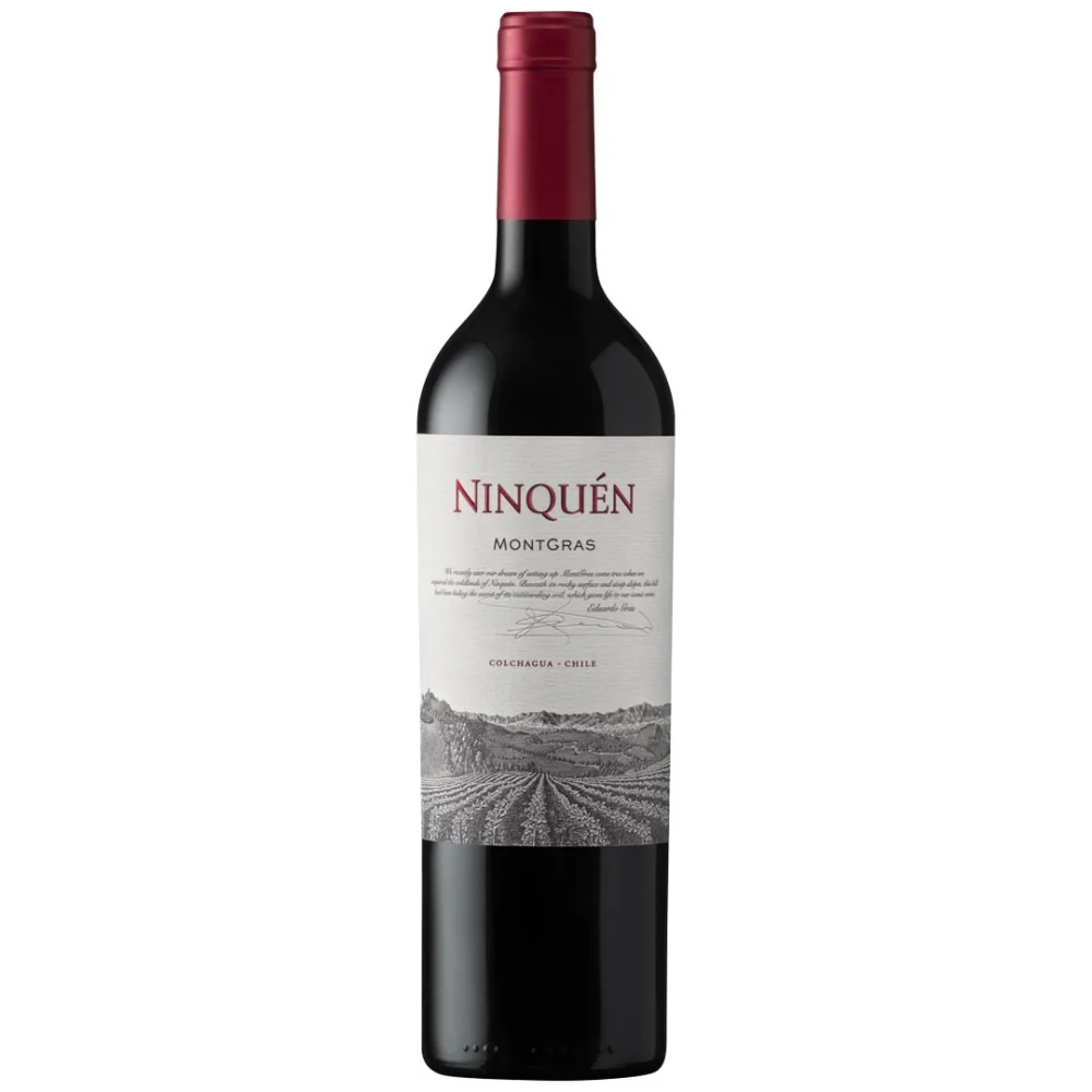 Vinho Montgras Ninquén 750ml