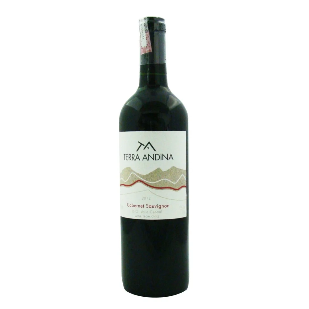 Vinho Terra Andina Cabernet Sauvignon (750ml)