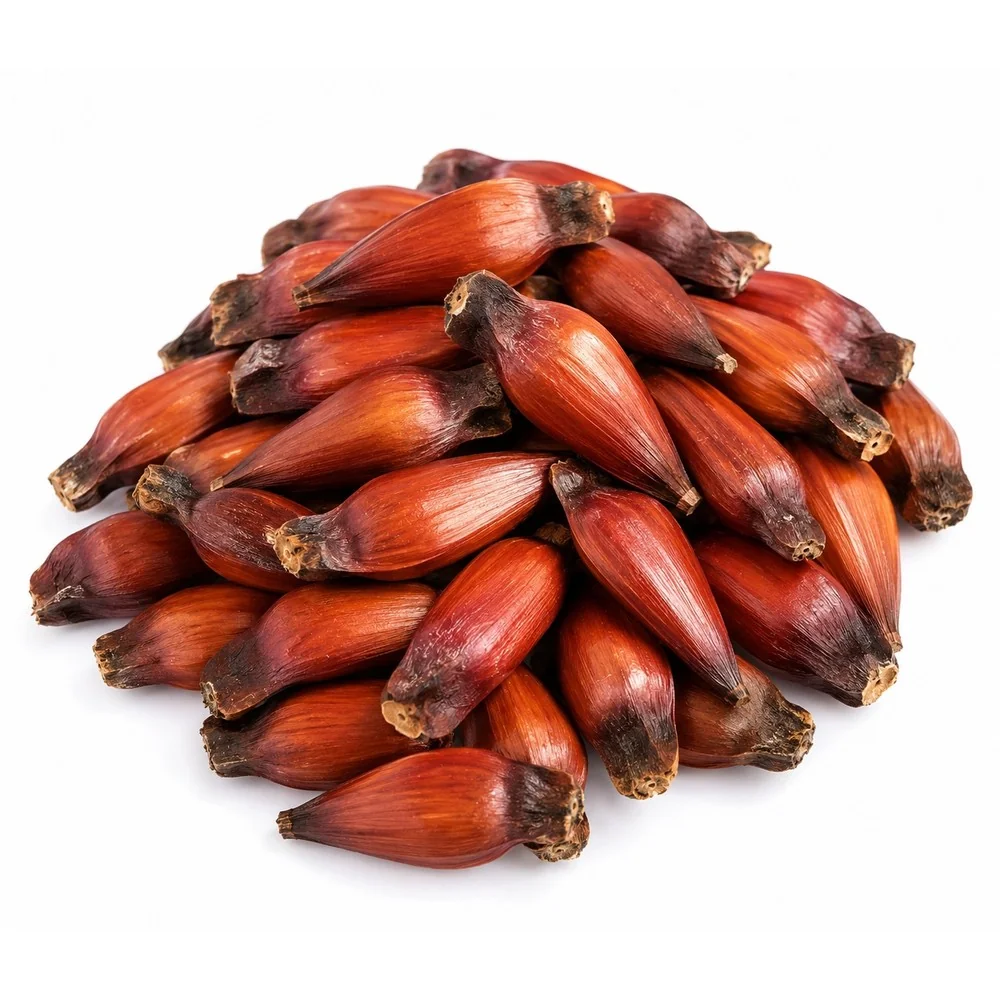 Pinhão 1Kg