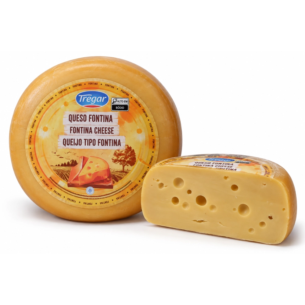 Queijo Tipo Fontina Tregar 300g