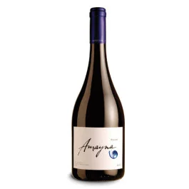 Vinho Amayna Syrah (750ml)