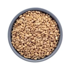 Cevada sem Casca 100g