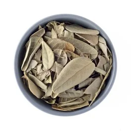 Chá de Boldo do Chile 100g
