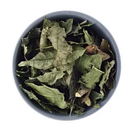 Chá de Espinheira Santa 100g