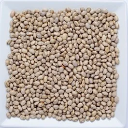 Feijão Carioca 500g