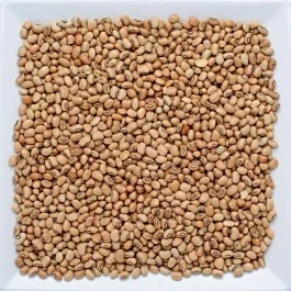 Feijão de Corda 500g