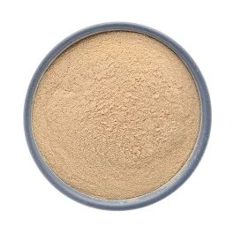 Levedura (Levedo) de Cerveja 100g