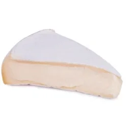Queijo Brie Nacional 500g