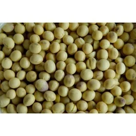 Soja em Grão 100g