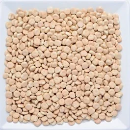 Tremoço Miúdo Seco 100g