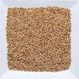 Trigo em Grão Nacional 500g