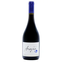 Vinho Amayna Pinot Noir (750ml)