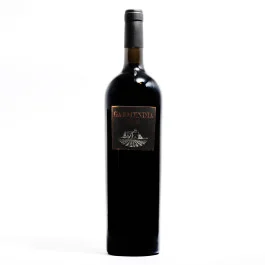 Vinho Garmendia (1,5L)