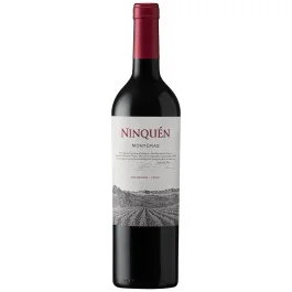 Vinho Montgras Ninquén 750ml