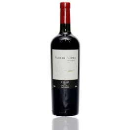 Vinho Paso De Piedra Reserva Malbec (750ml)