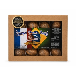Caixa com 12 Conchas de Escargot France Bresil Un