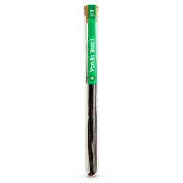 Fava de Baunilha Vanilla Brasil 4g