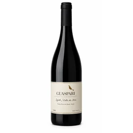 Vinho Guaspari Syrah Vista da Serra 750ml