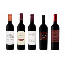 Kit com 5 Vinhos Velho Mundo + GANHE 1 + Abridor Personalizado
