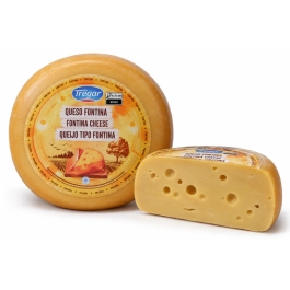 Queijo Tipo Fontina Tregar 300g